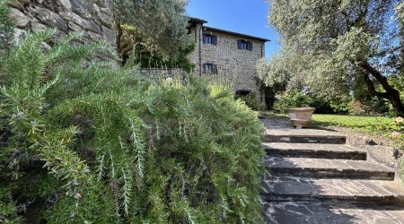 19864-7a1385c2c5d60f44