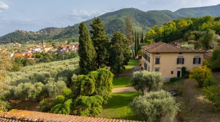 8af77ede-721f-4113-86dc-ad0c705e6842 2