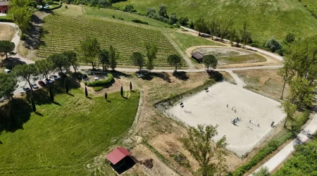 DJI_20250524120543_0127_D