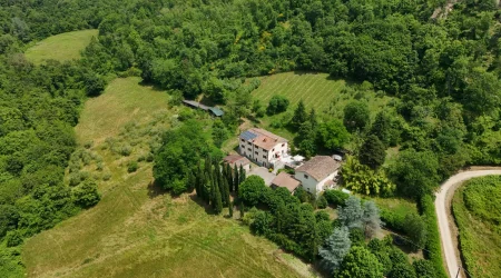 DJI_20250610123343_0320_D