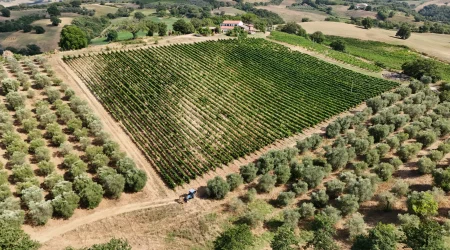 DJI_20250721163900_0110_D