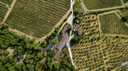 Organic Chianti Classico Wine Estate with Historic Farmhouses, Castellina in Chianti
