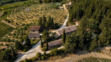 Organic Chianti Classico Wine Estate with Historic Farmhouses, Castellina in Chianti — photo 8