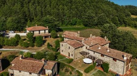 Ferroni-1